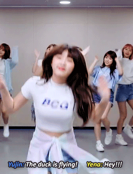 tumblr_provgpZ02c1y2eklvo8_400.gif