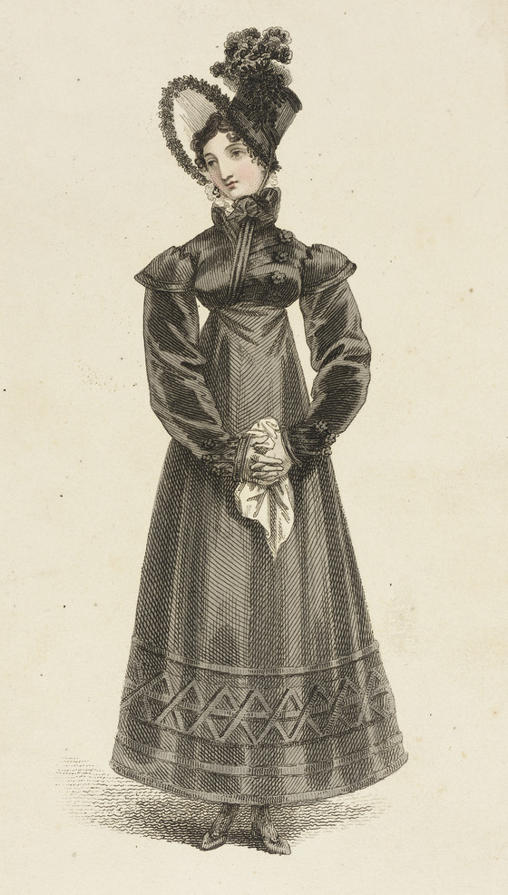 Fawn Velveteen — 1800s Fashion Plates by Rudolph Ackermann