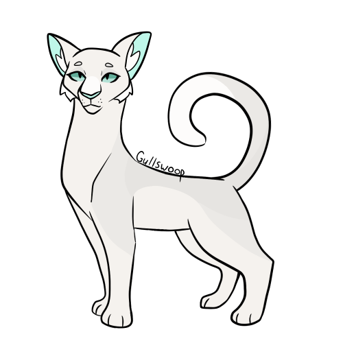 murdercatsdesigns