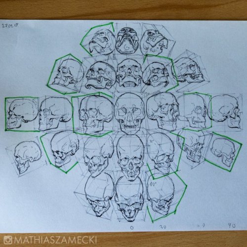 “I made a skull drawing study. To test my knowledge I draw ‘green ones’ from imagination.”
(Source)