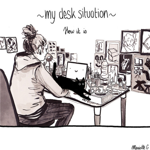 mariette-g:Desk situation.Fellow cats owners, how true is...