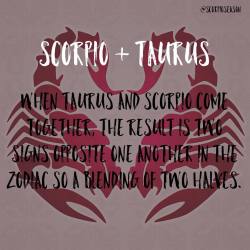 scorpio taurus zodiac signs opposite another two result together come when so tumblr blending halves