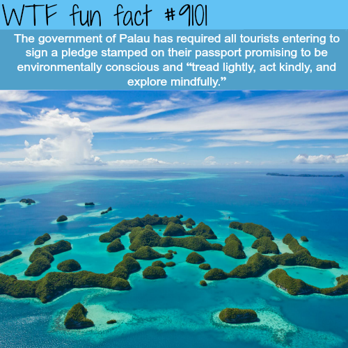 wtf-fun-factss:The Palau Government - WTF fun fact