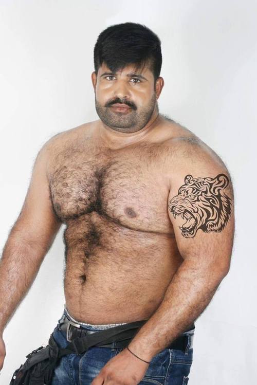 indianbears:Probably the only dedicated INDIAN BEARS blog in...