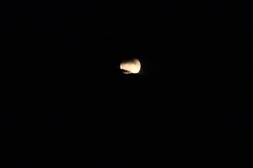tumblr post tumblr photography tumblr photos full moon summer night