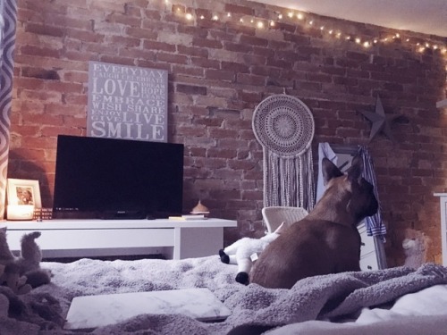 bedroom fairylights brickwall bohostyle cozyplaces puppylove
