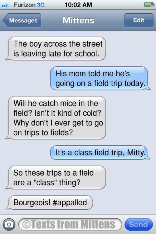 Texts from Mittens - NEW Daily Texts from Mittens: The Field Trip...