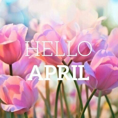 hello april on Tumblr