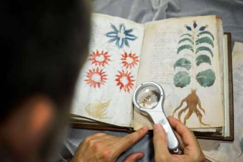 MANUSCRITO VOYNICH -