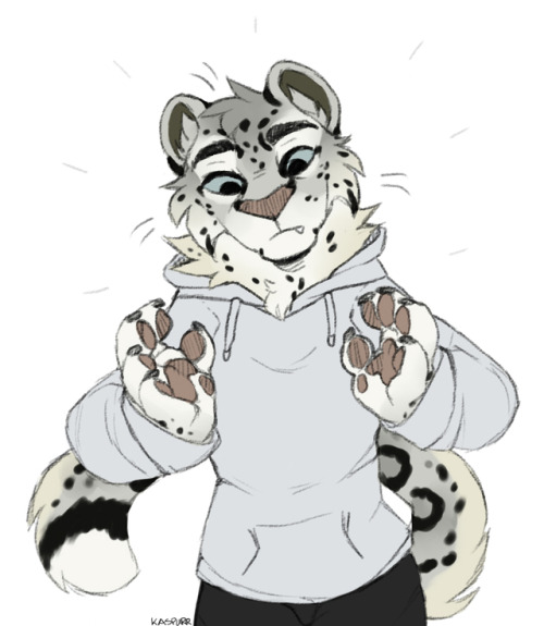 snow leopard on Tumblr