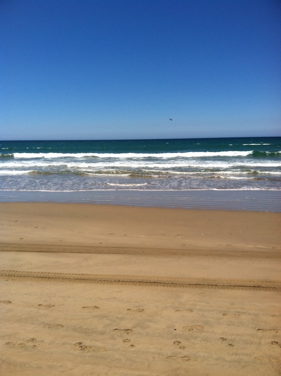 Oceano dunes