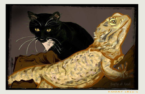 <p>Interspecies Friends. Gixer, DSH Cat and Stan Lee, Bearded Dragon</p>