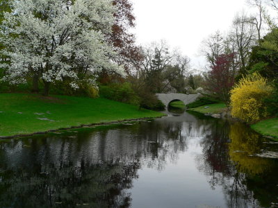 Dow Gardens Tumblr