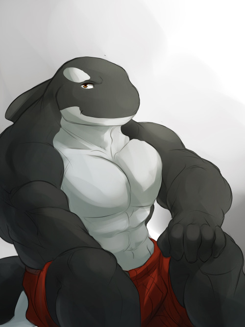 ralphthefeline:Orca male anthro. Never tried drawing them before...