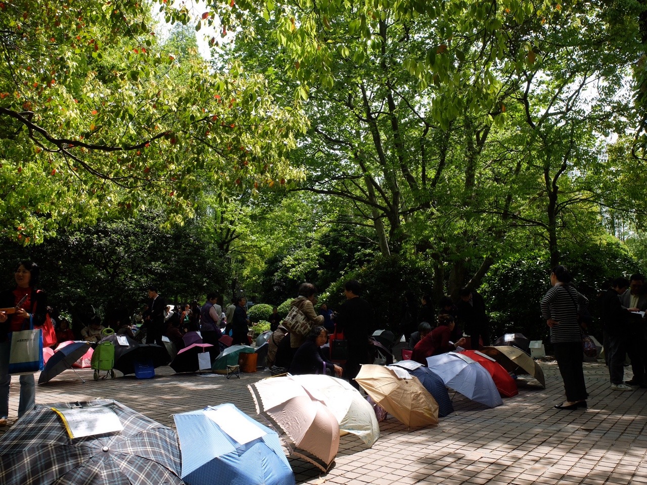 Shanghai frauen treffen