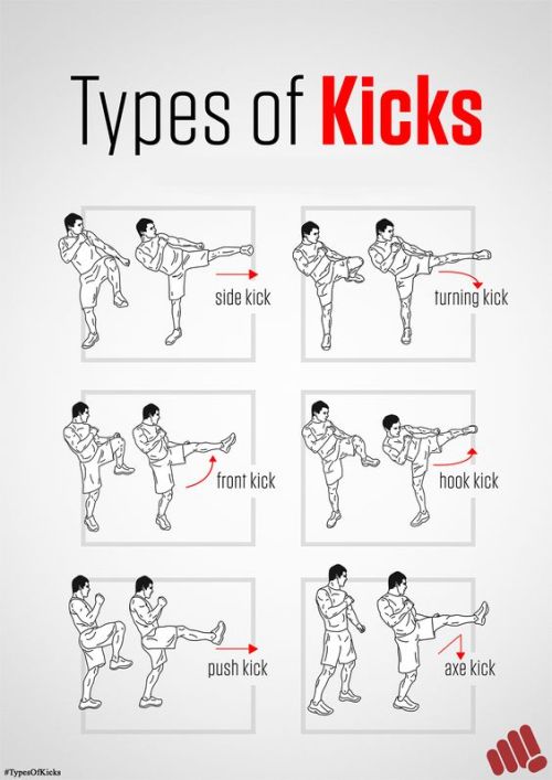 kungfu-online-center:Kickboxing is an easy way to lose...