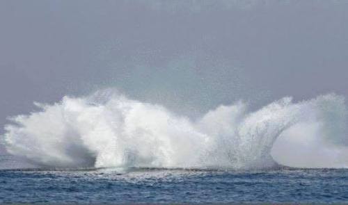 trynottodrown:Flying Humpback Whale 