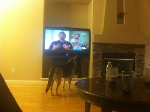 The Dog Whisperer is Rosey’s favorite show lol. It’s...