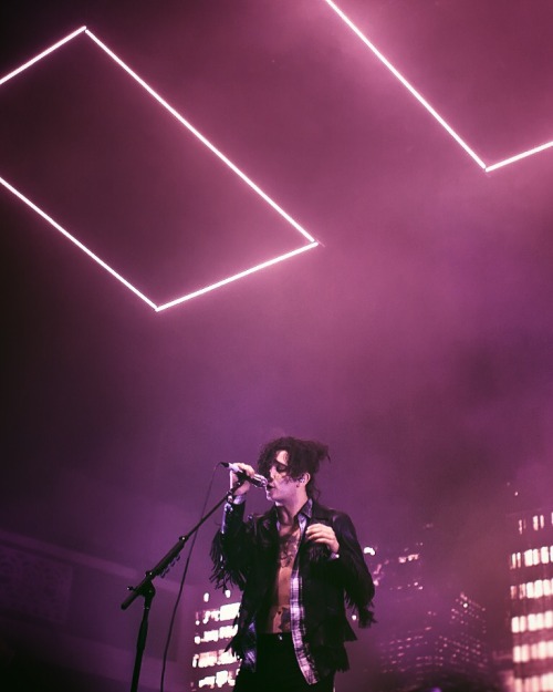 the 1975 on Tumblr