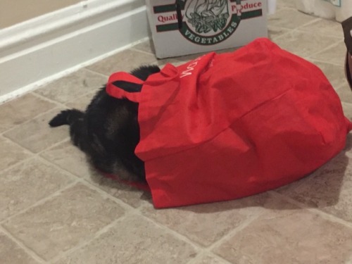 “My disguise is invincible! No one can see me!”