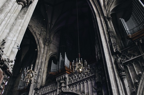 ancient-serpent:St. Stephen’s Cathedral, Vienna // by...