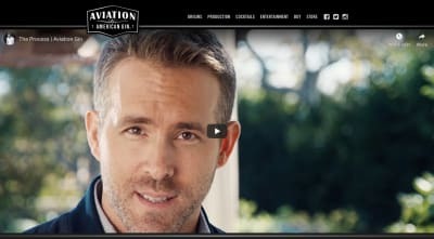 Aviation Gin website 2020