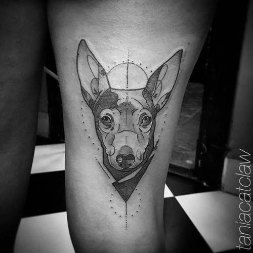 By Tania Catclaw, done at El Diablo Tattoo Club, Lisboa.... sketch work;chihuahua;pet;dog;animal;watercolor;thigh;facebook;twitter;medium size;taniacatclaw