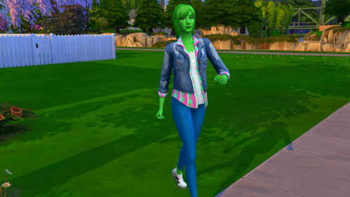 sims 4 crack gallery