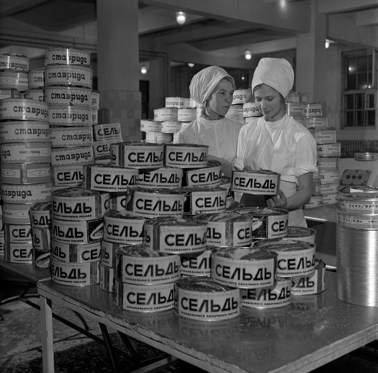 At a seafood factory in Murmansk, Russia (1971)
Labels on the tins read Herring, Mackerel.