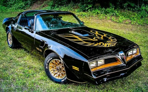 doyoulikevintage:Trans am