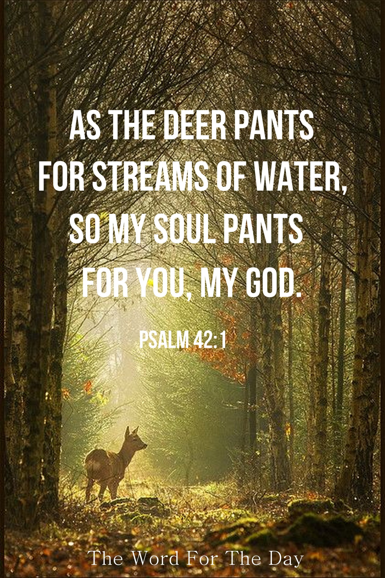 The Word For The Day • As the deer pants for streams of water, so my ...