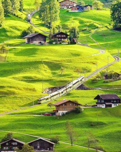 rosiesdreams:Green tranquility in Grindelwald, Switzerland