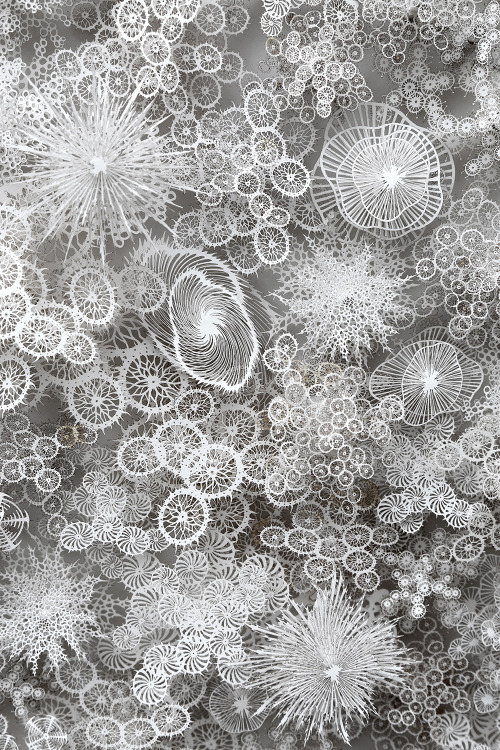 crossconnectmag:Intricate Organic Forms Cut from Paper by...