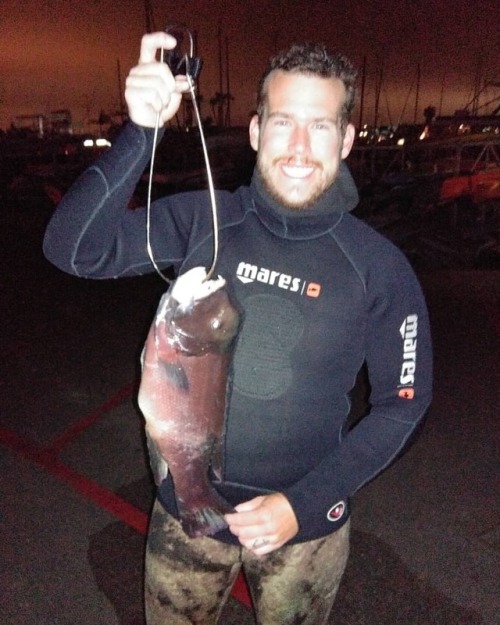 Successful after work dive, I caught this Sheepshead, two...