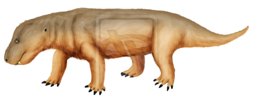 thagomizers:Bienotherium...