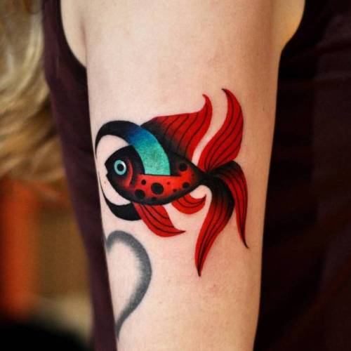 By David Côté, done at Imperial Tattoo Connexion, Montreal.... surrealist;psychedelic;davidcote;animal;contemporary;fish;facebook;nature;twitter;pop art;ocean;experimental;medium size;goldfish;other;upper arm