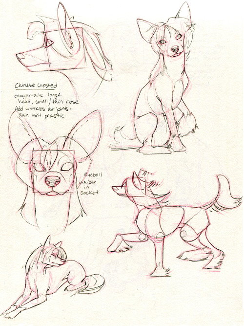 taigordonart:More canine requests! Thanks...