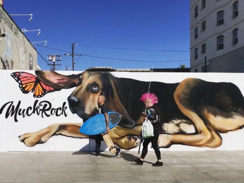 Pink Mohawk, Venice Beach(Mural by Jules Muck)