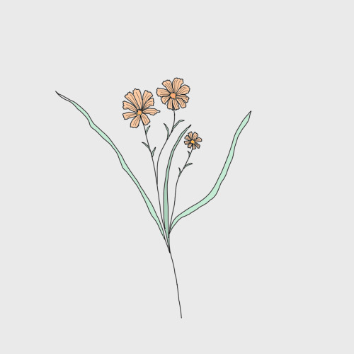 addxctwithapxn:some wildflowers