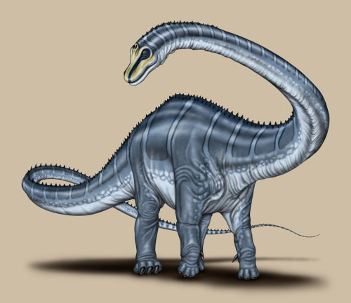 barosaurus fossil