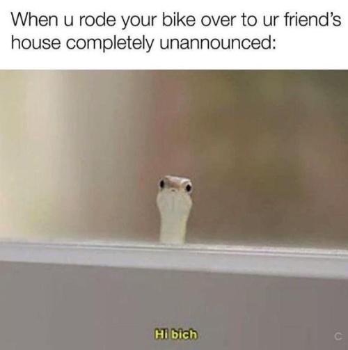 srsfunny