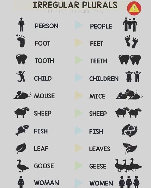 English Coaching — 💫Quem sabia que o plural de MOUSE é MICE e que...