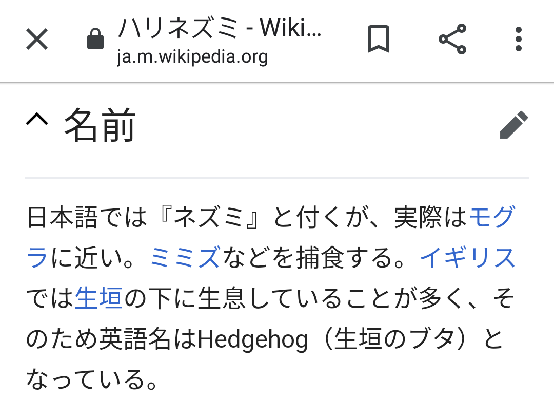 エビ先生のつぶやき 一個月半 一個半月 皓雲老師的語言教學部落