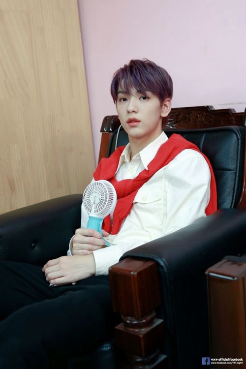 fychoisoobin