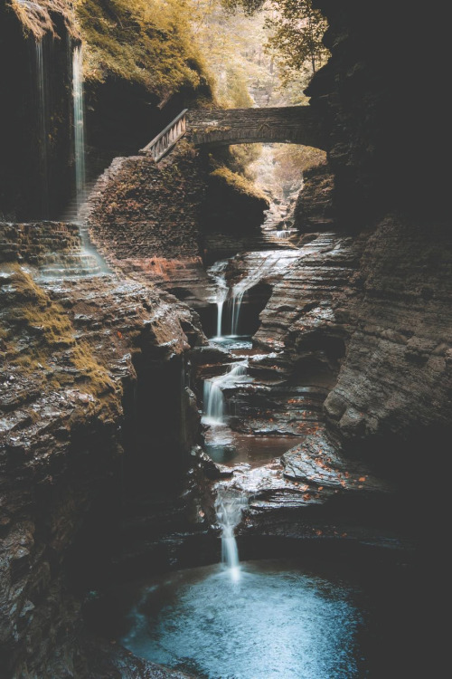 lsleofskye:Watkins Glen, New York | rusticbones