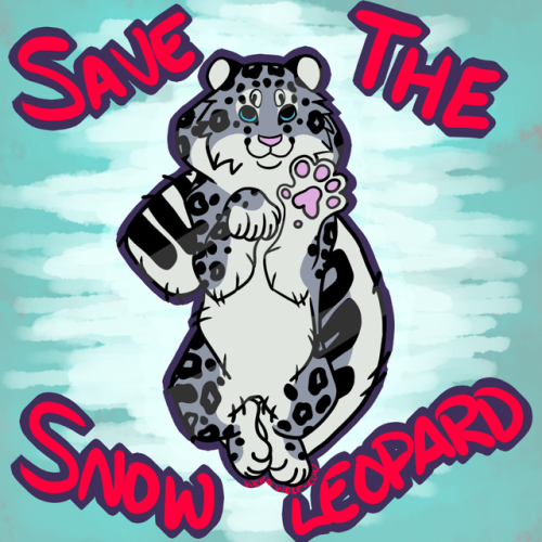 save the snow leopards | Tumblr