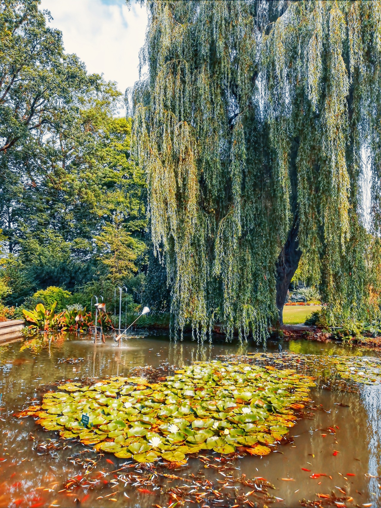 botanischer garten hof