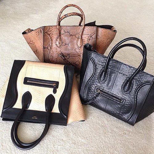 celine nile bag