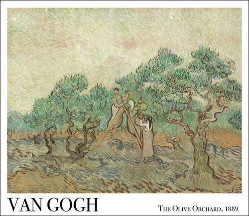 Van Gogh’s The Olive Orchard, 1889Prints available on Etsy