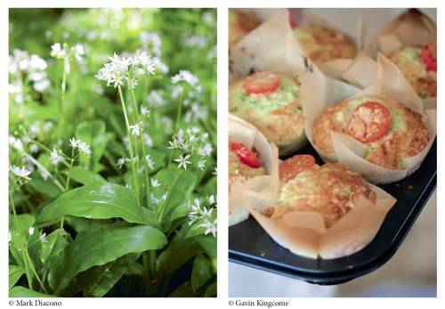 Bloomsbury Cooks Pam Corbin S Wild Garlic Pesto